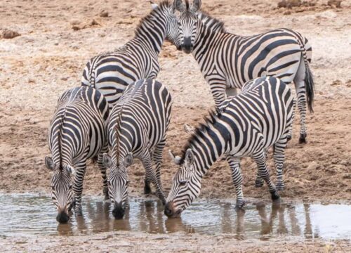 Serengeti National Park